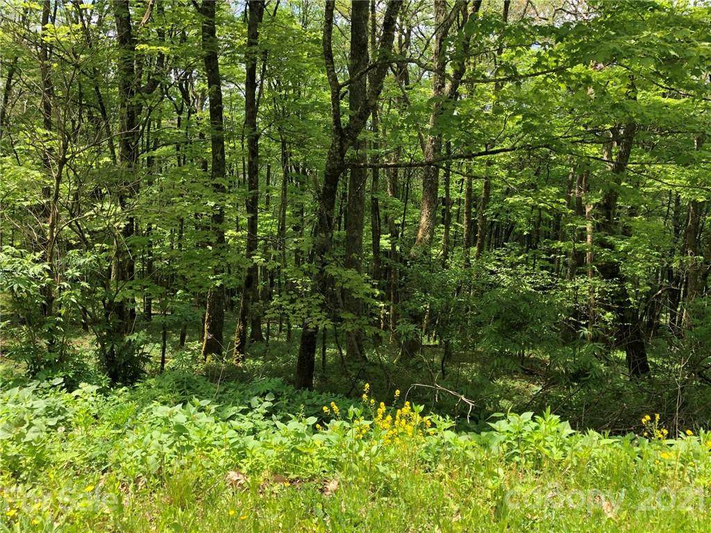 360 Birch Springs Lane - Photo 1