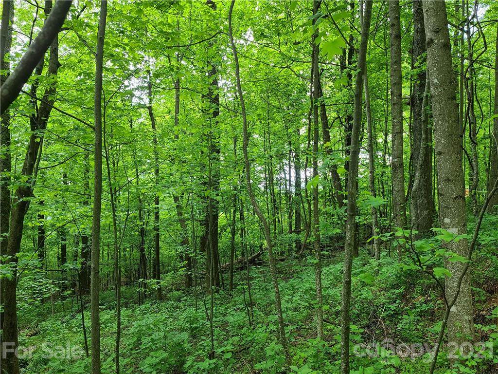 Lots 796 & 796 A Bat Cave Road - Photo 1