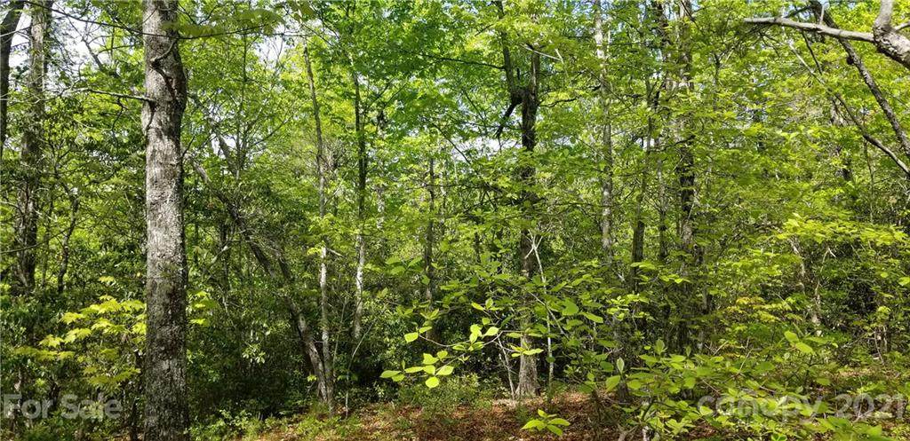 Lot 878 Long Ridge Road - Photo 1