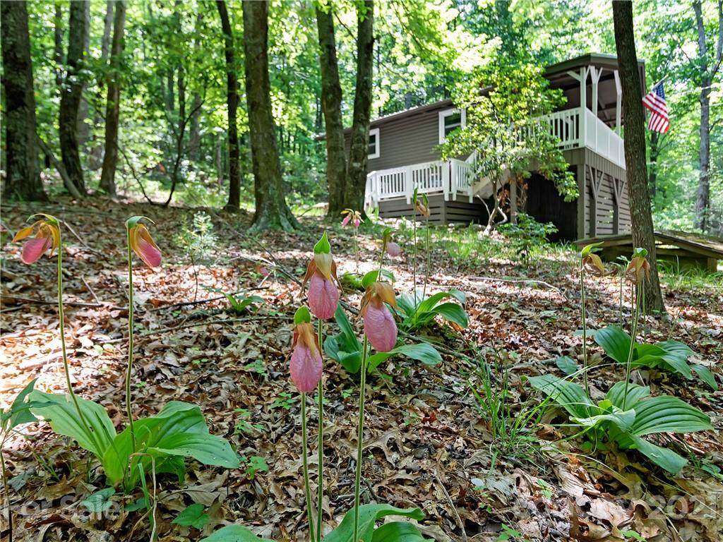 388 Seldon-Emerson Road - Photo 1