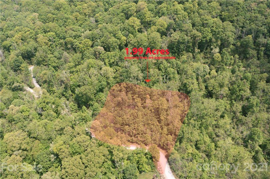 384 Live Oak Loop - Photo 1