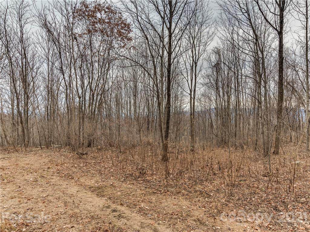 Lot 202 Cherry Hill Court - Photo 1