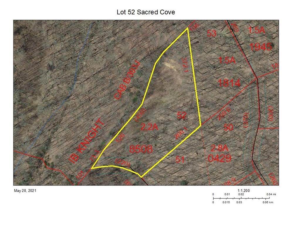 0000 Angel Falls Road - Photo 1