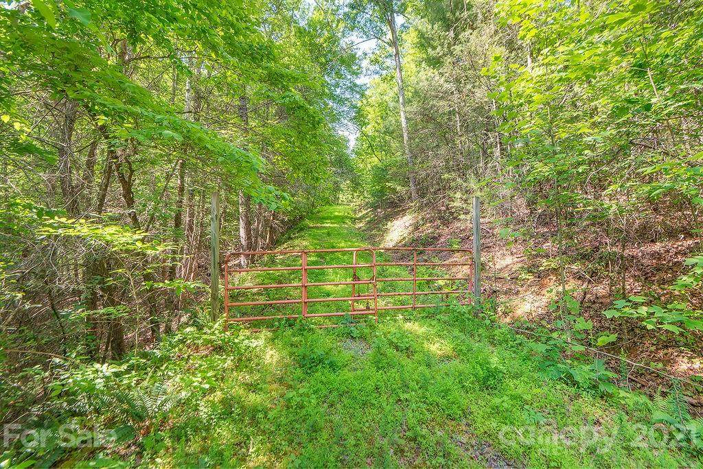 0 Birddog Boulevard - Photo 1