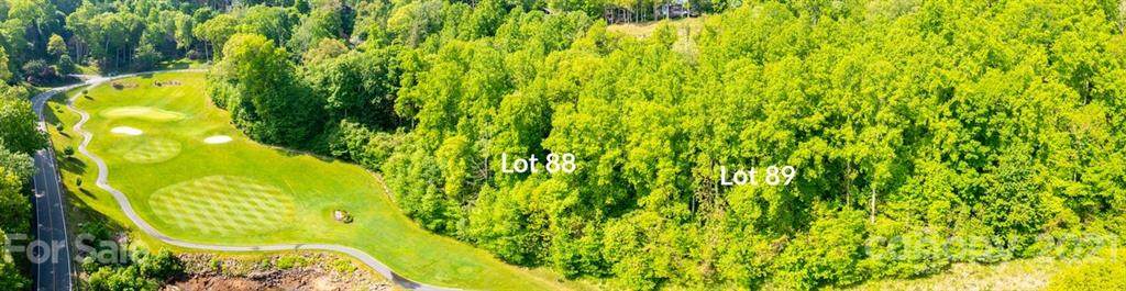 Lots 88 & 89 Apple Brandy Way - Photo 1
