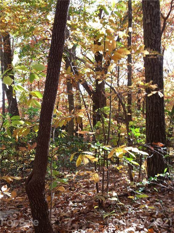 Lot 49 Hickory Acres Road - Photo 1