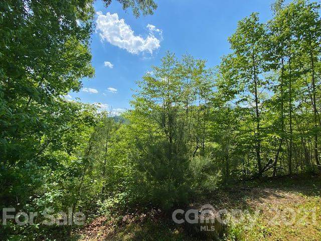 00 Wooly Worm Lane - Photo 1