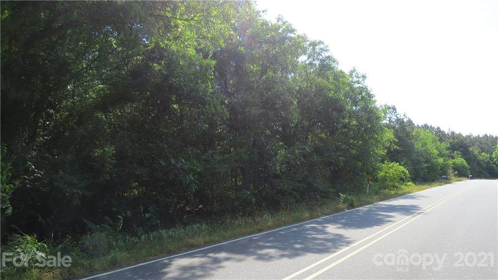 0 Old Caroleen Road - Photo 1