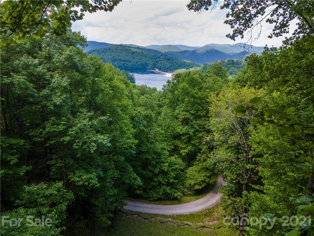 Lt 10 Von Trapp Lane - Photo 1