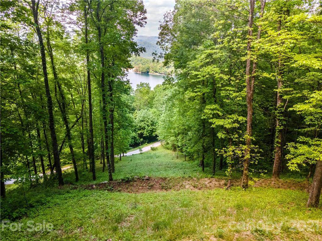 Lt 11B Von Trapp Lane - Photo 1
