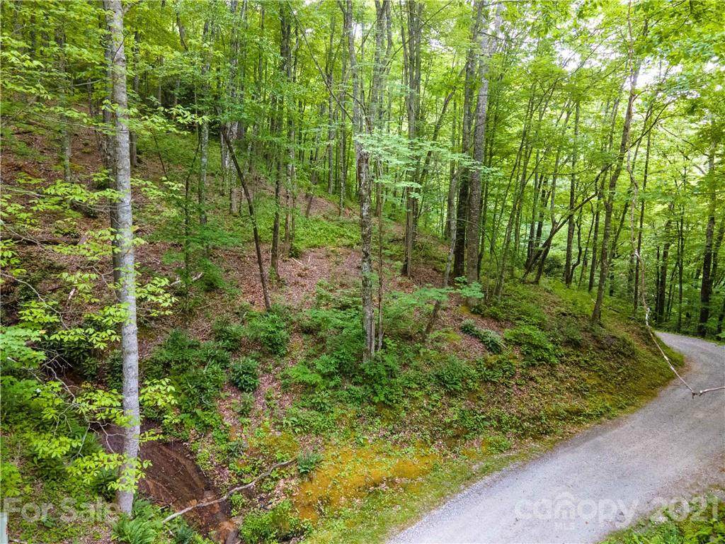 Lt 12C Von Trapp Lane - Photo 1