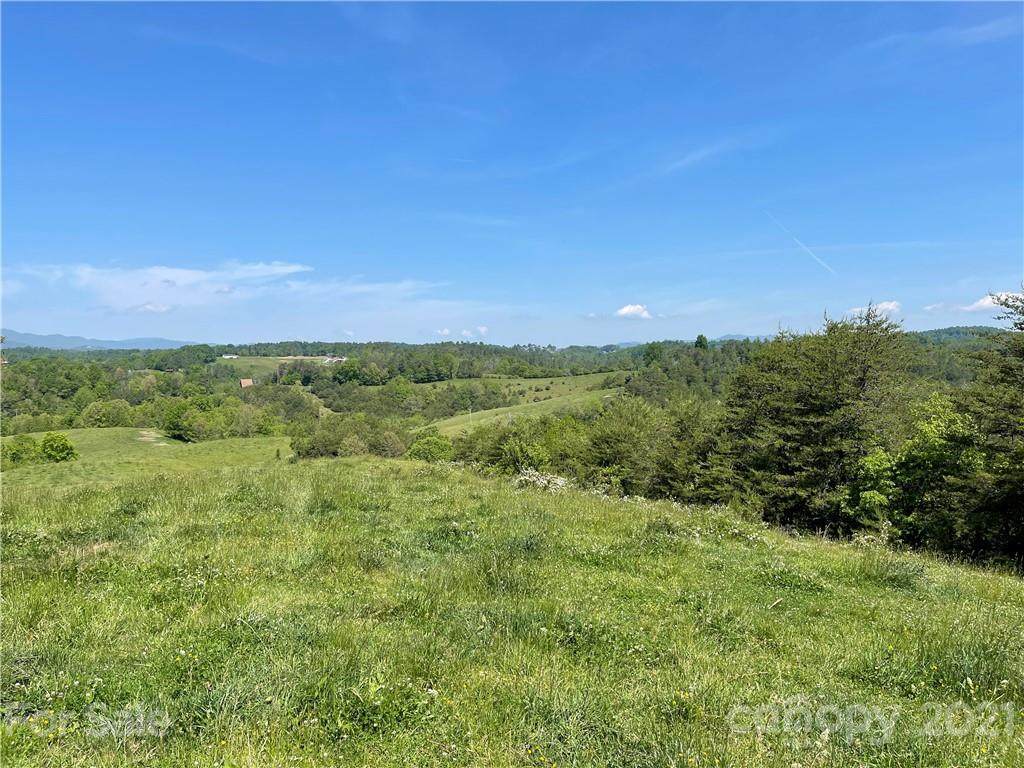 100 Lower Shephard Branch Road - Photo 1