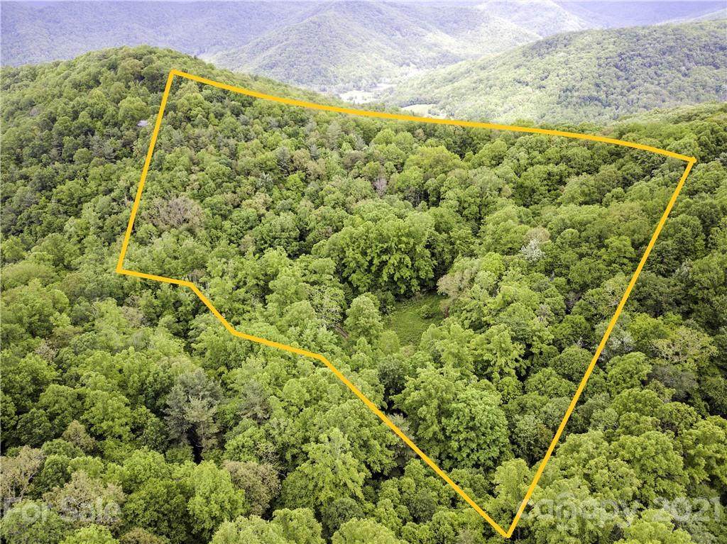 000 Shelton Branch Road - Photo 1