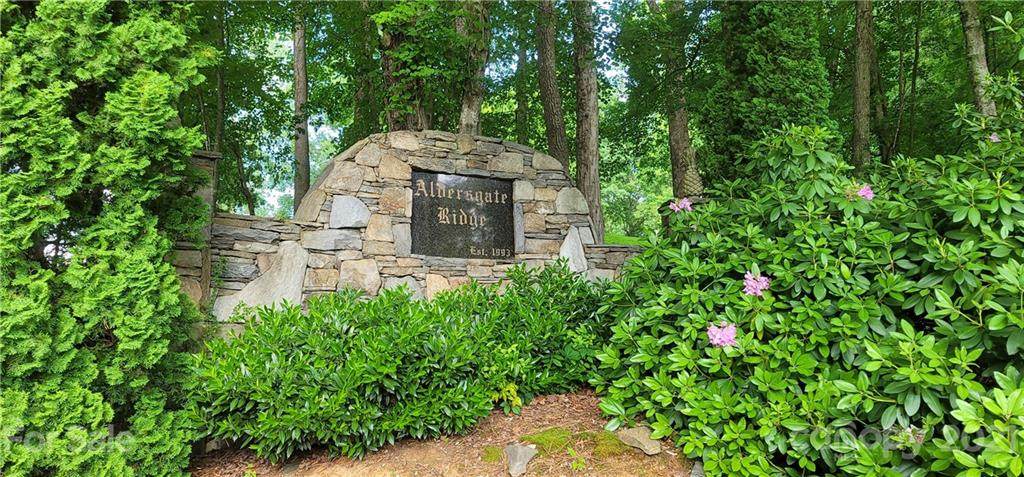 Lot 7 Aldersgate Road - Photo 1