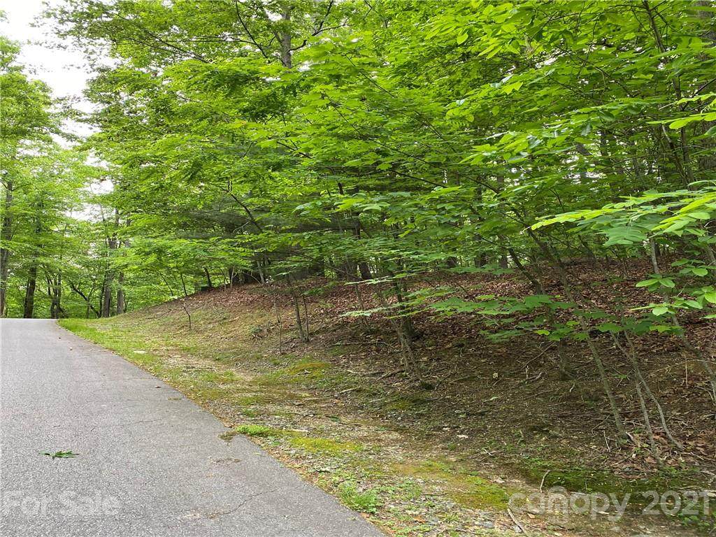 Lot 6 Paisley Lane - Photo 1