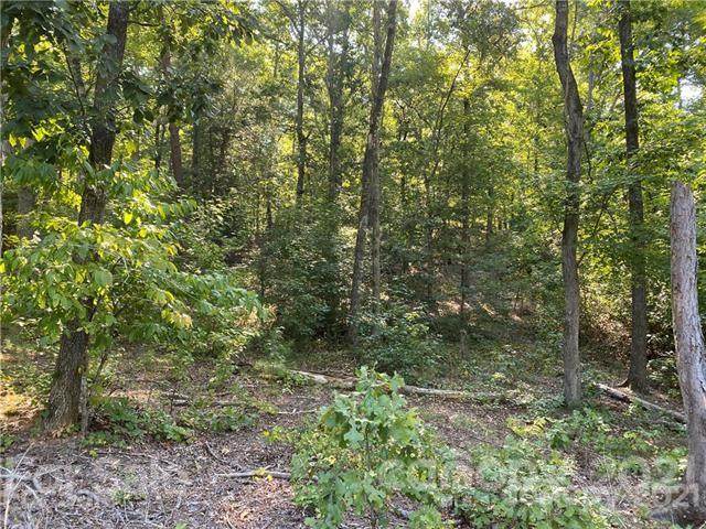 239 Basswood Road - Photo 1