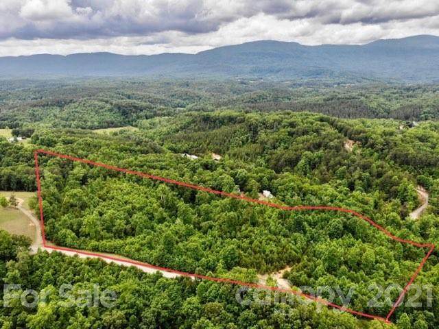 0 Bill Jackson Road - Photo 1