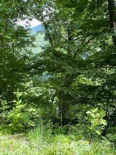 Lot 19 Flowing Hills Drive - Photo 1