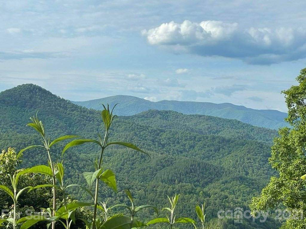 376 Honeysuckle Ridge - Photo 1