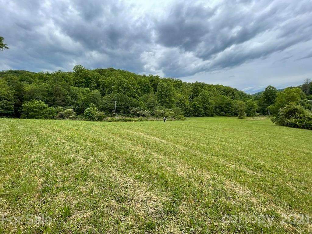 1237 Thomas Valley Road - Photo 1