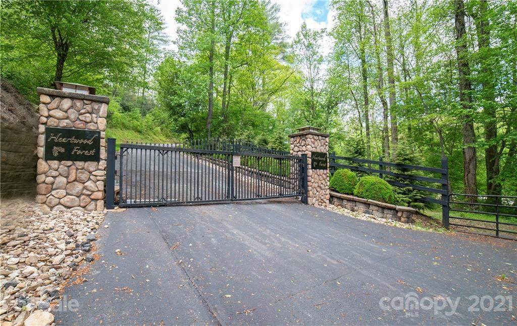 V/L Ashley Forest Road - Photo 1