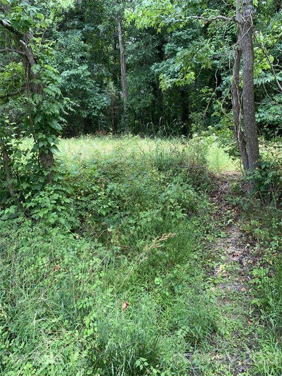 0 Deer Run Extension - Photo 1