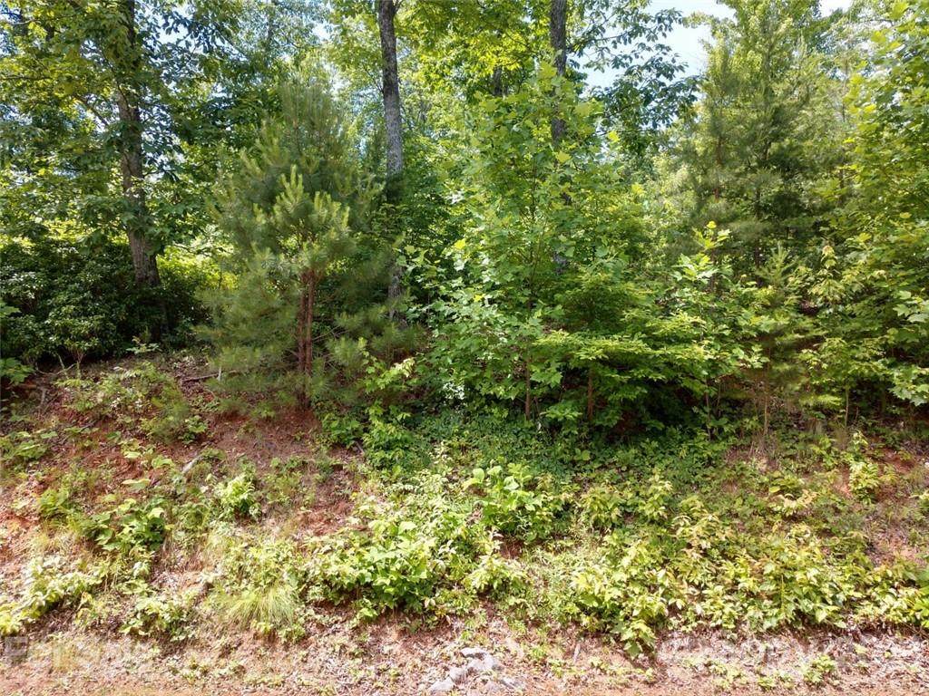 00 Half Moon Mile Road - Photo 1