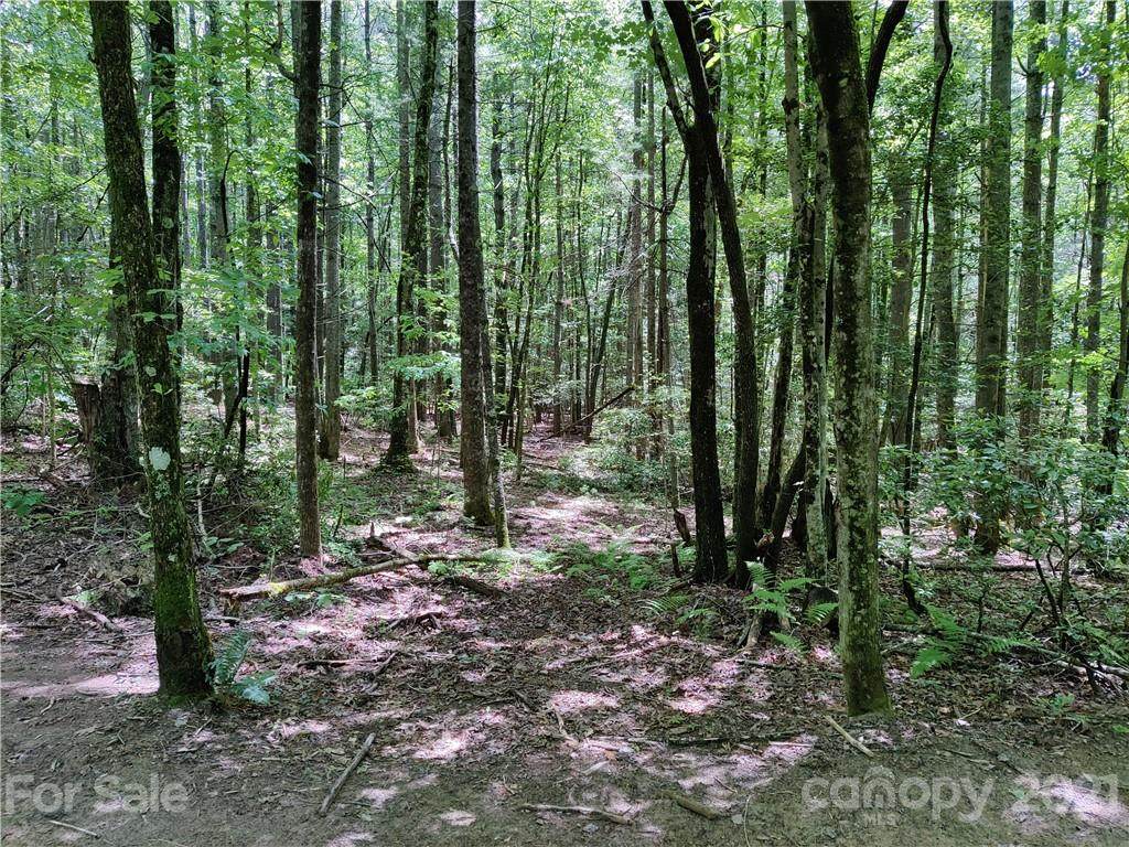 1900 Jeter Mountain Road - Photo 1