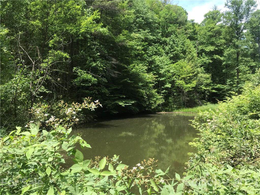 520 Happy Acres Road - Photo 1