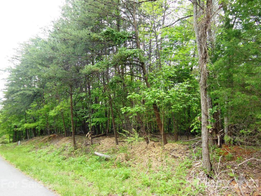 63 Wolf River Lane - Photo 1