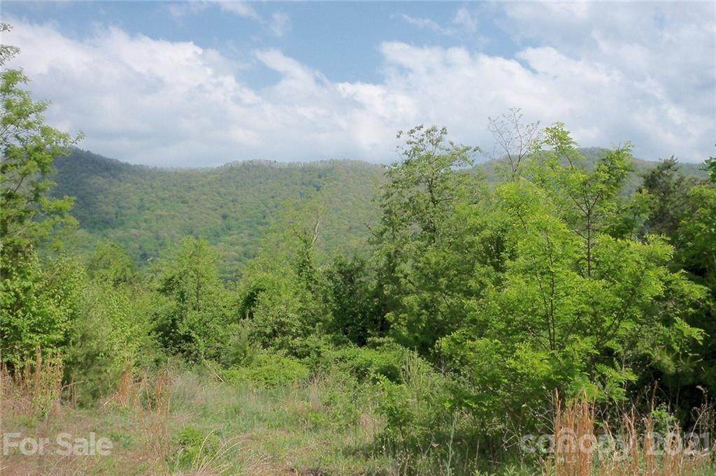 Lot 23 Turkey Trail - Photo 1