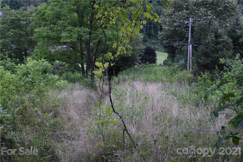 3080 Prices Creek Road - Photo 1
