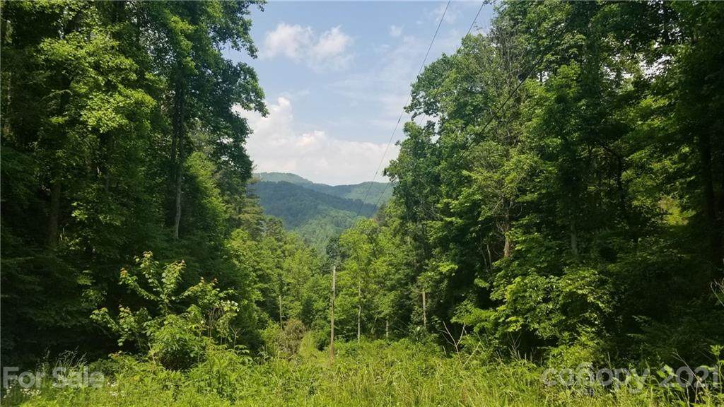 275 Horse Knob Drive - Photo 1