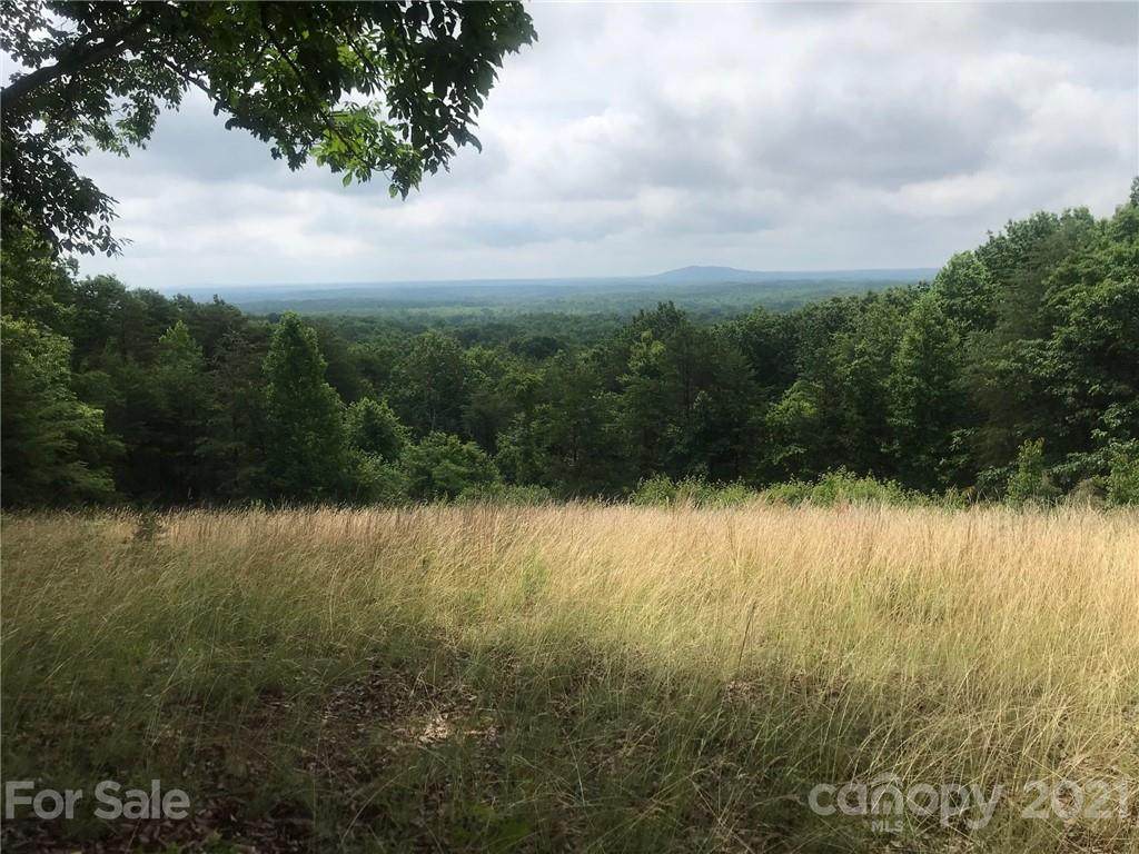 00 Old Mountain Road - Photo 1