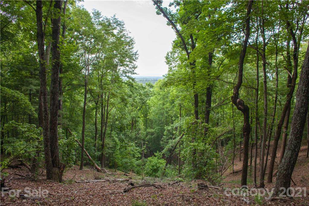000 Hawkins Grove Road - Photo 1