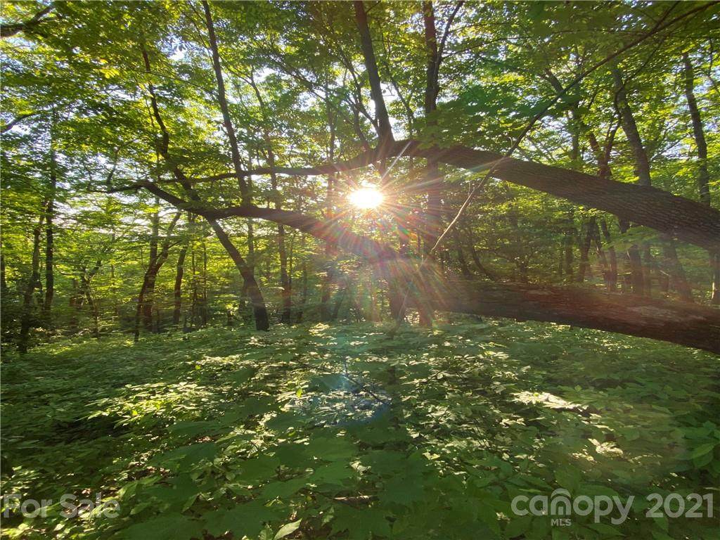 Lot 9 Highland Drive - Photo 1