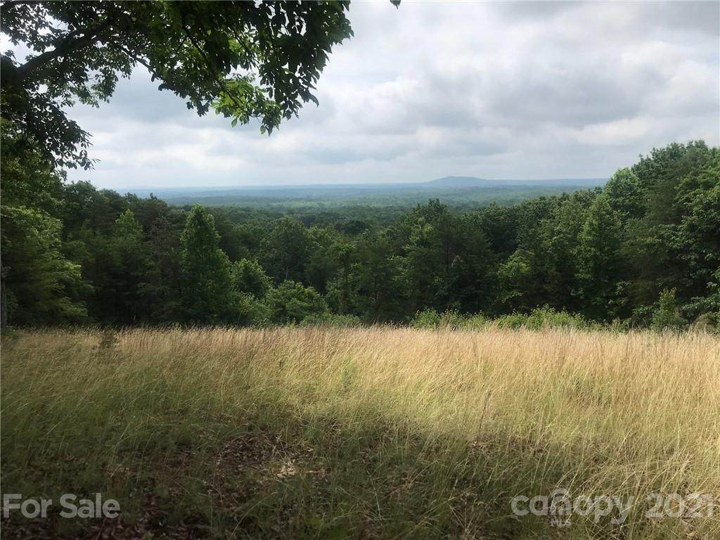 00 Old Mountain Road - Photo 1