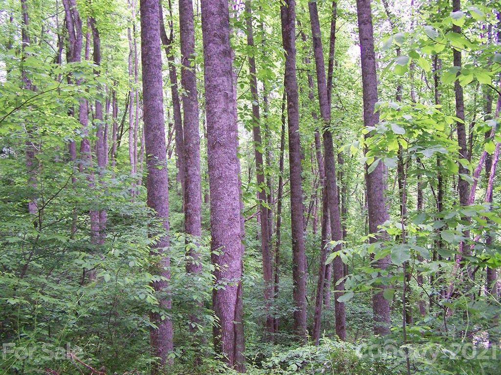 000 Crawford Cemetery Road - Photo 1