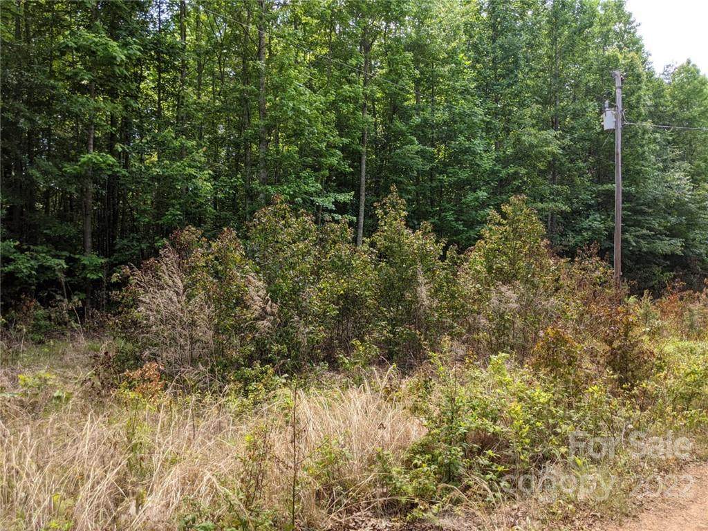 000 Meandering Lane - Photo 1