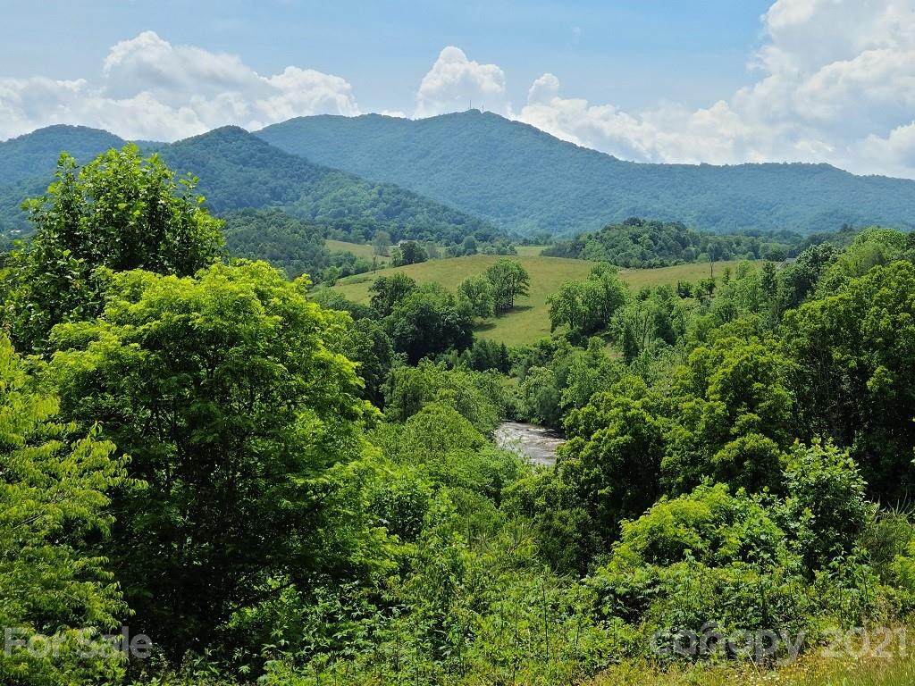 000 Everview Lane - Photo 1