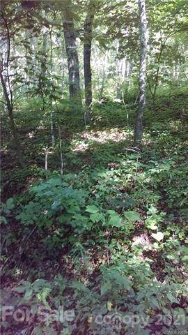 00 Skyline Drive - Photo 1