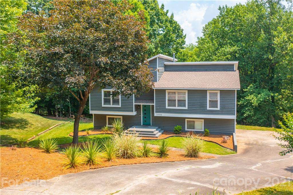 10000 Swan Lake Lane - Photo 1