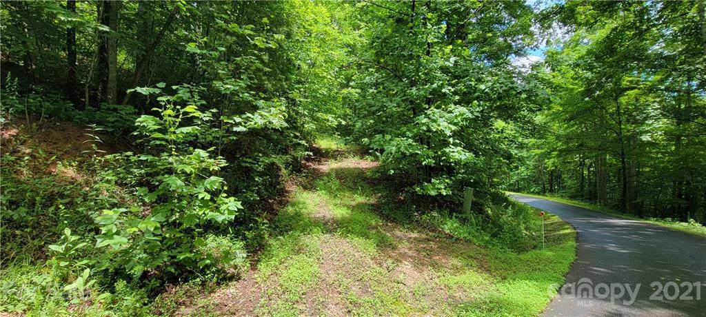V/L Mountain Crest Drive - Photo 1