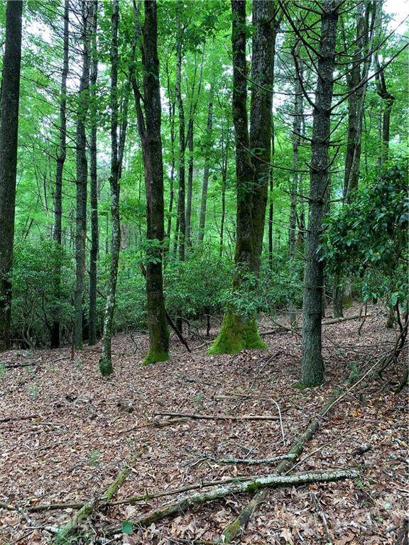 U03 L074 Salola Lane - Photo 1