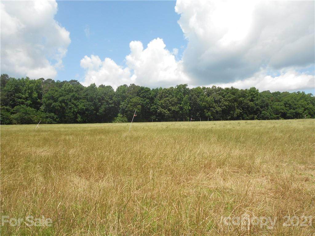 6812 Lancaster Highway - Photo 1