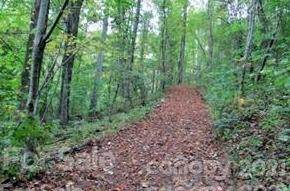 TBD Dark Cove Road - Photo 1