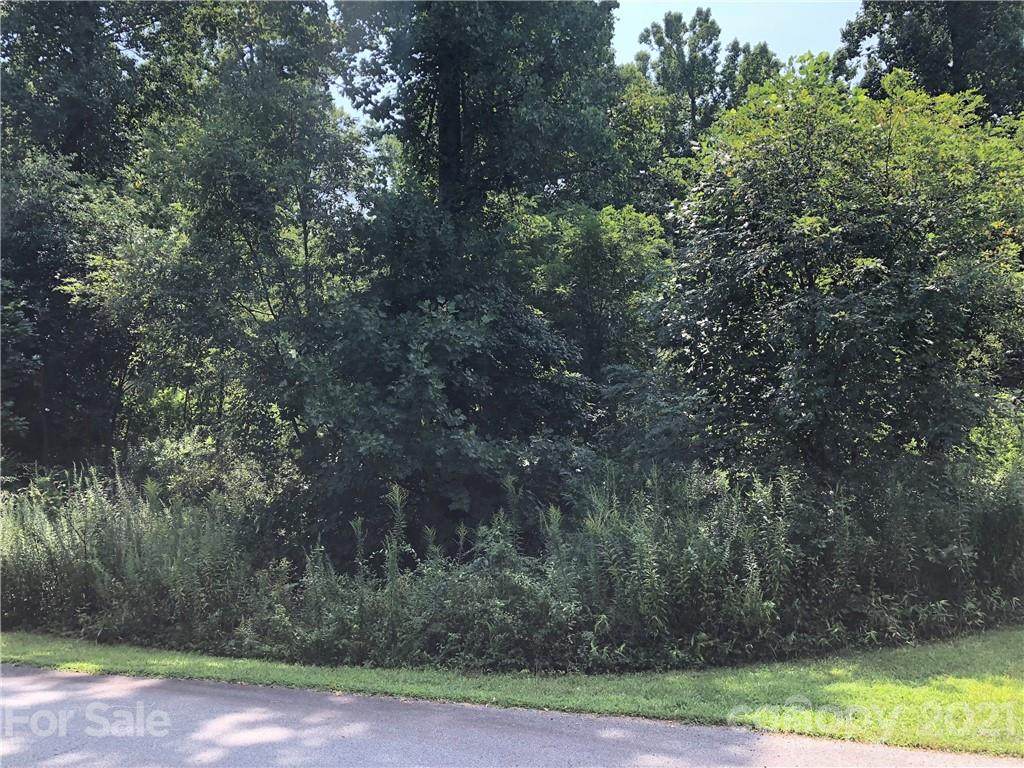 LOT 13 Peregrine Drive - Photo 1