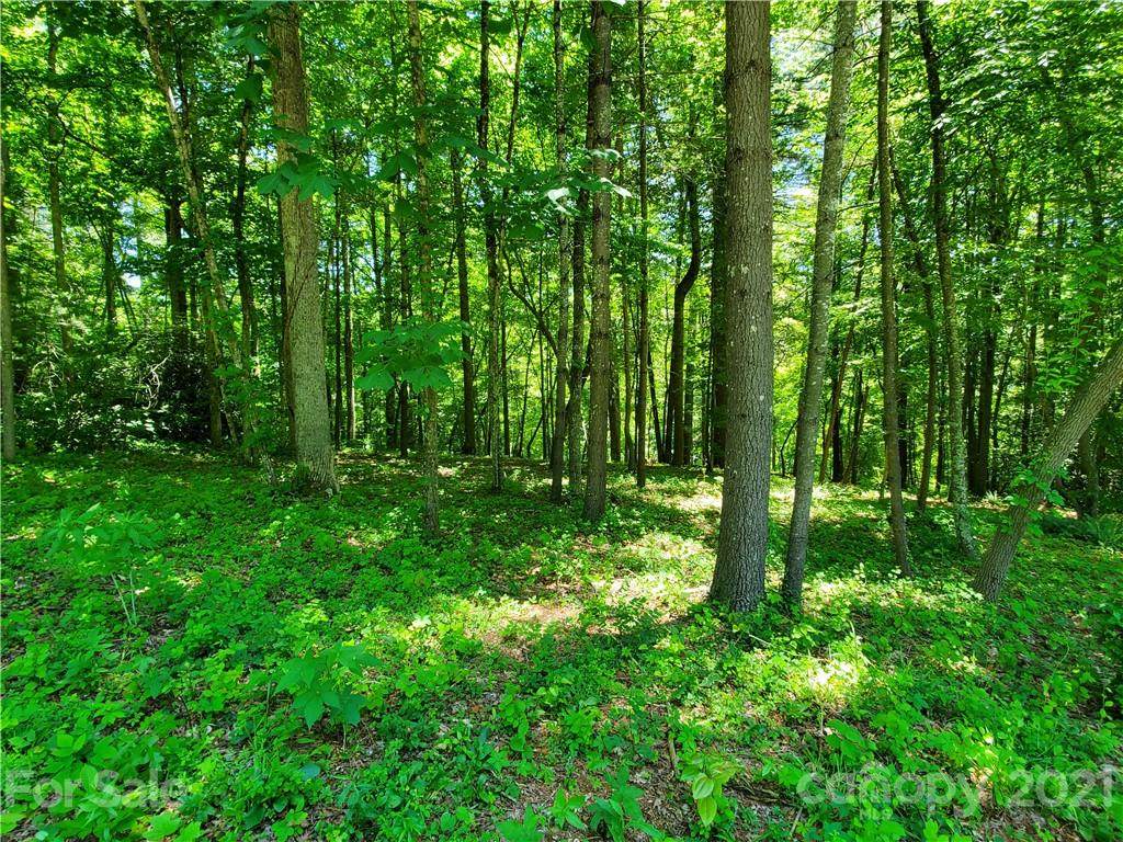 47 Trail Top Drive - Photo 1