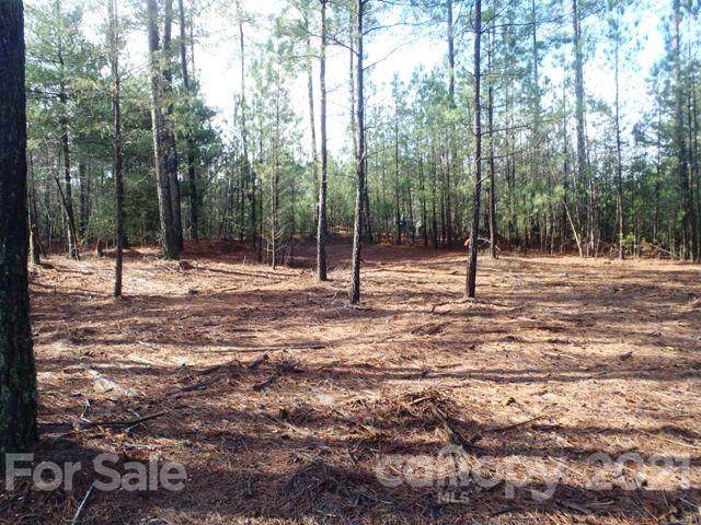 110 Rivercliff Drive - Photo 1