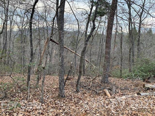 301 Otter Lane - Photo 1